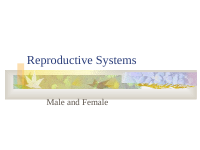 Reproductive Systems (2).ppt